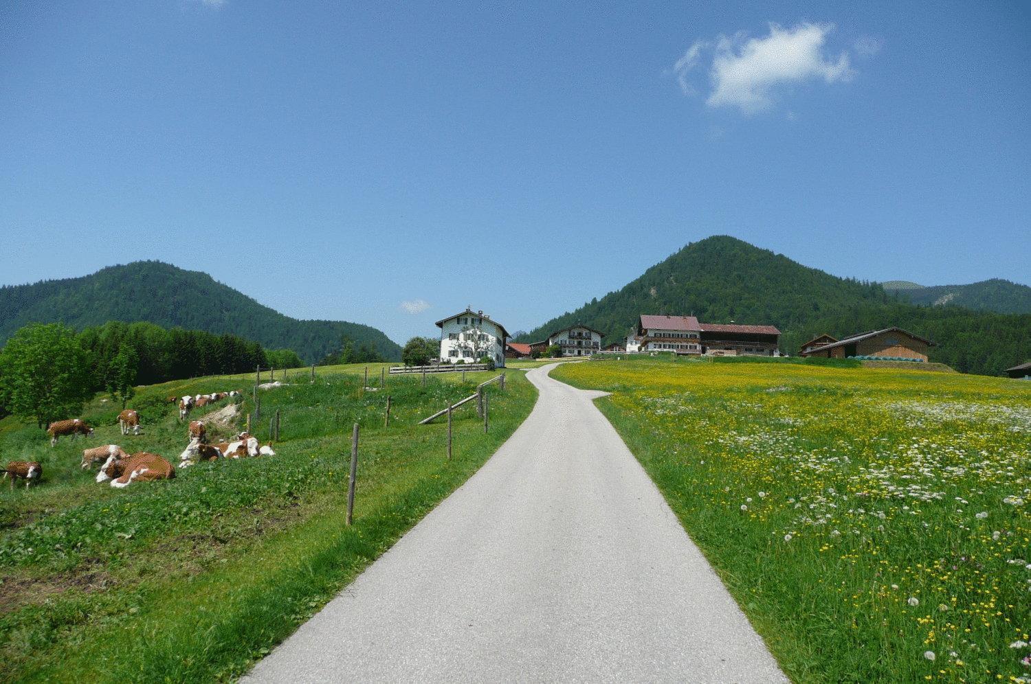 Gasthof Jachenau Exterior photo